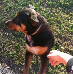 Meet your Posher, Kyle